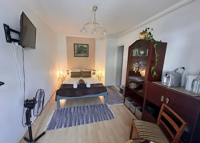 Sarokhaz 招待所 3*